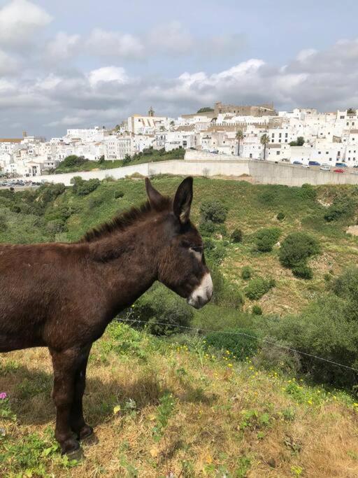 Casita Tacande - Una Bonita Casita Situada En El Casco Antiguo De Vejer De La Frontera Exterior foto